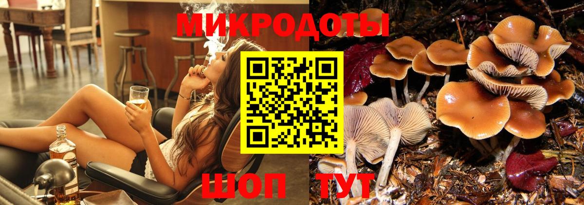 Галлюциногенные грибы Psilocybe Лабытнанги
