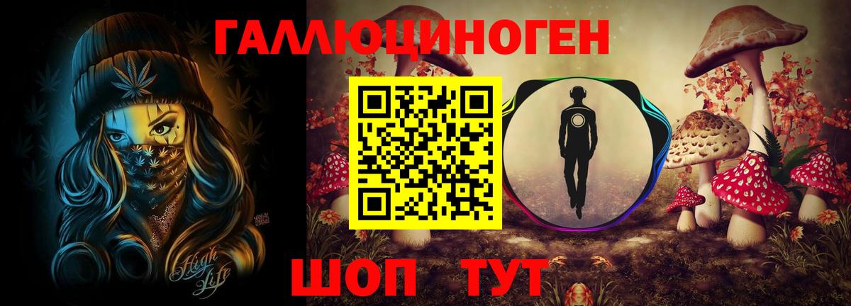 Псилоцибиновые грибы Psilocybe  Вход с VPN  Лабытнанги 